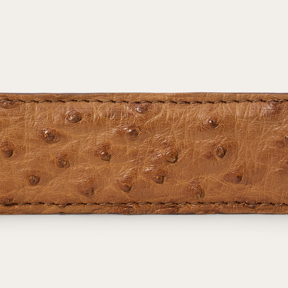 Ostrich Western Tab Belt - 1 1/4" Width Antique Cognac - Stetson