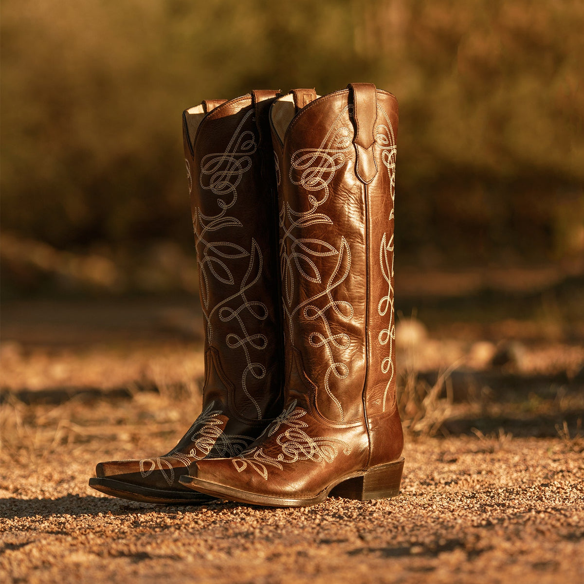 Adeline Burnished Brown Back Zip Cowboy Boot Brown - Stetson