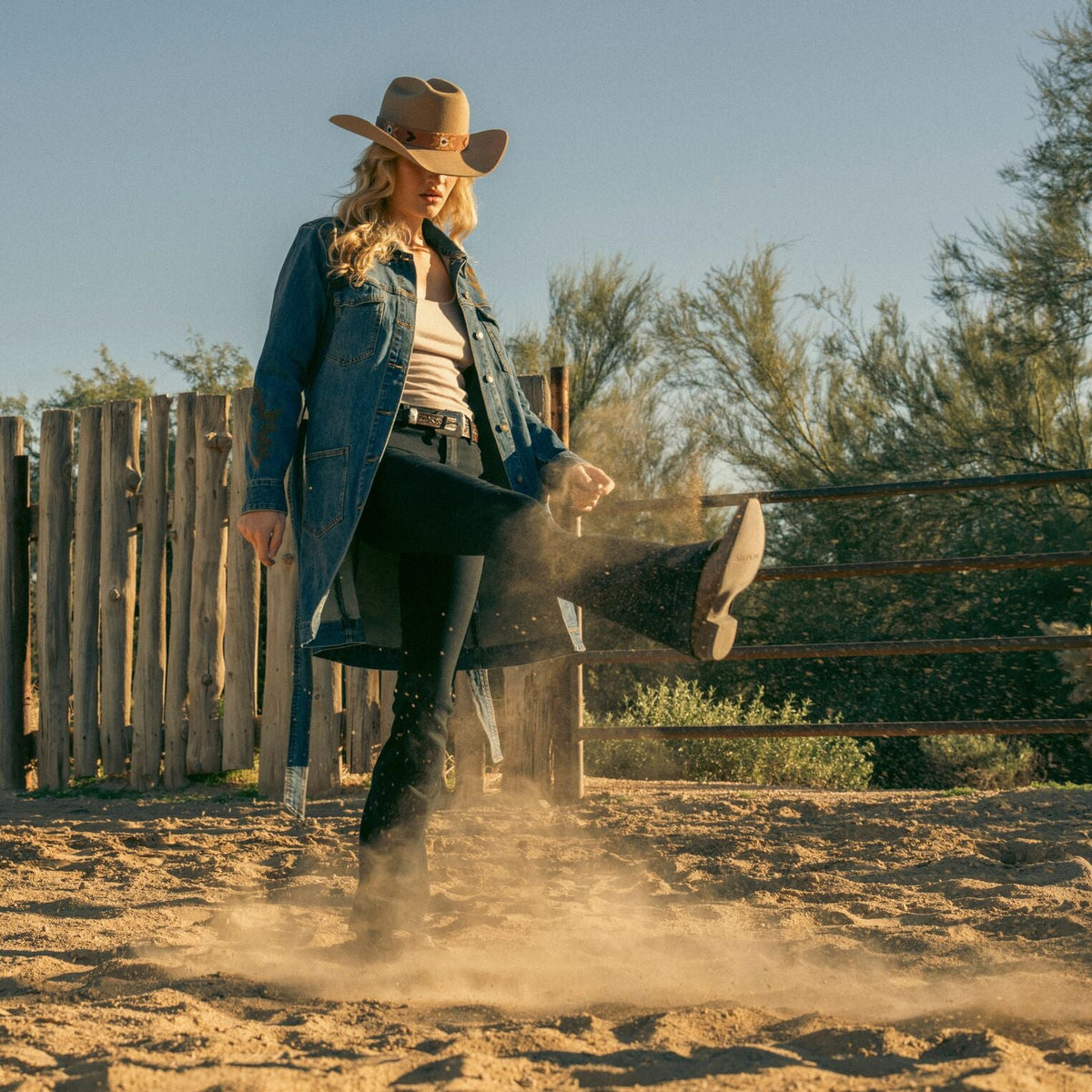 Desert Flower Tan - Stetson